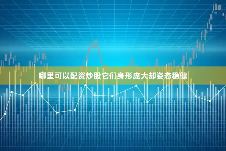 哪里可以配资炒股它们身形庞大却姿态稳健
